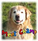 Meet Champ Kids Page